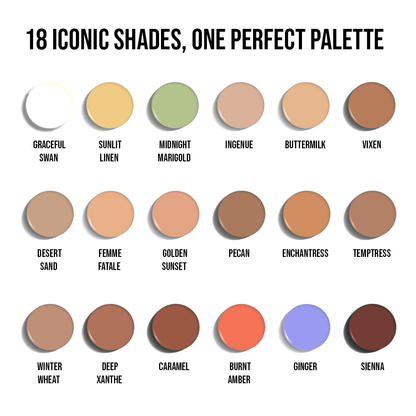 The One Concealer Palette